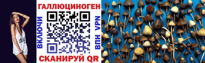 МЕГА сайт Керчь Галлюциногенные грибы GOLDEN TEACHER